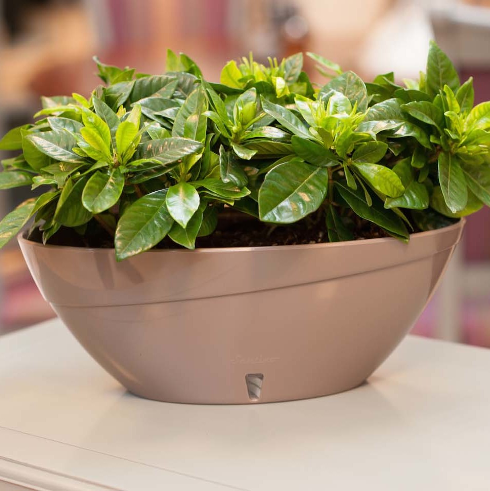 [b]���� 11.03.����������� �������� ������ � �������� ���������� � ��������� ������ ����.���� 2.[/b]