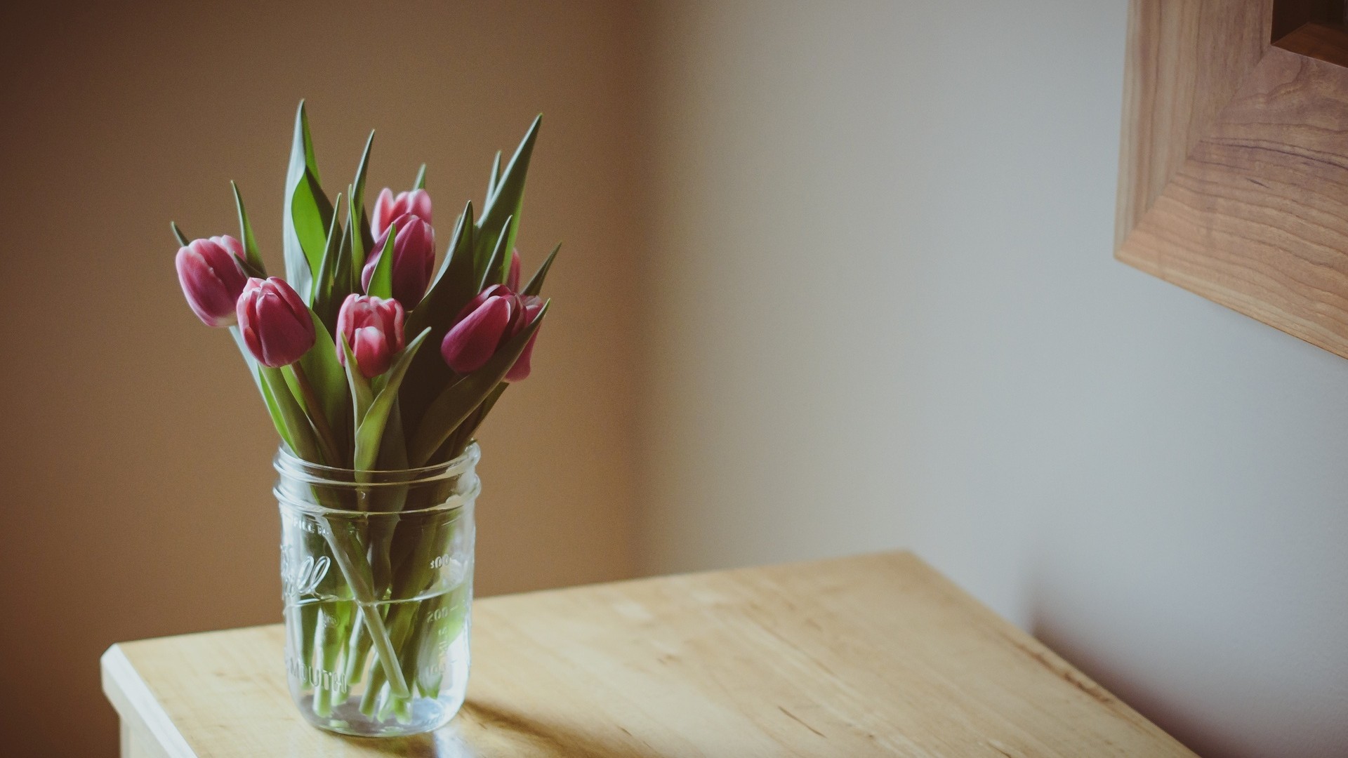 �� 8 ����� ))))