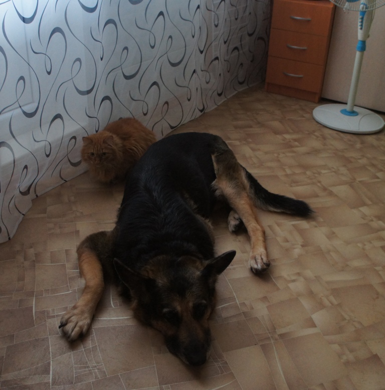 28.02.19 ����� � ������  (������ ������ 13 ���)