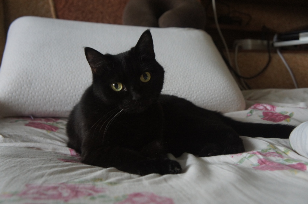 28.02.19 ����� (������ ����� 14 ���)