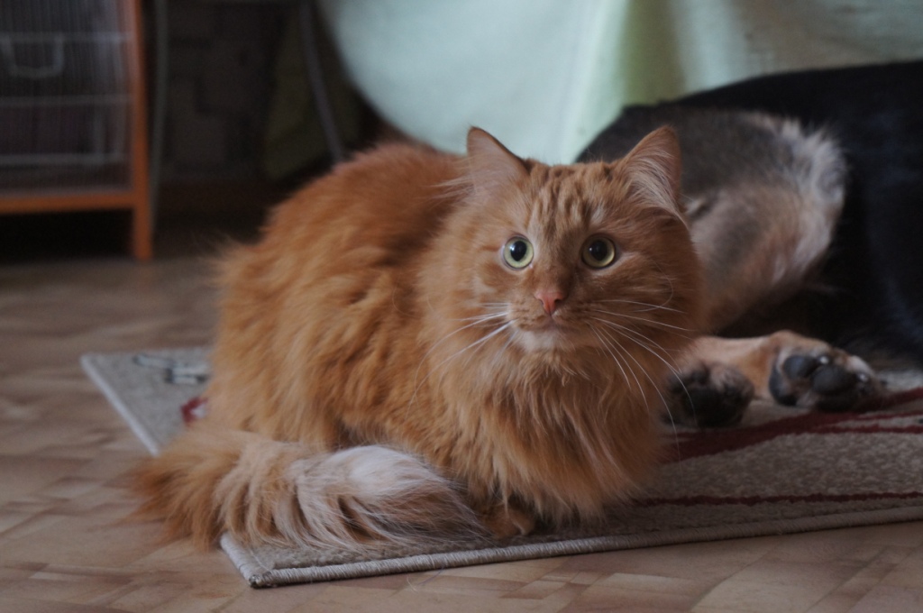 28.02.19 ����� 