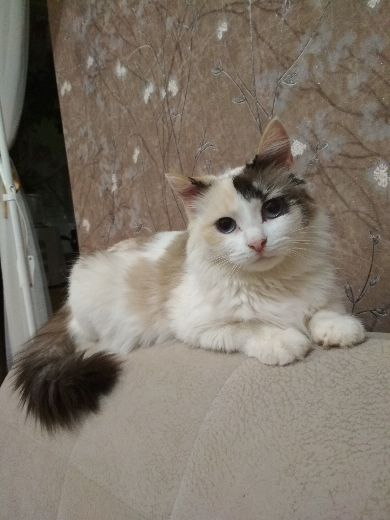 �������� ������� � �������� ������� 😻