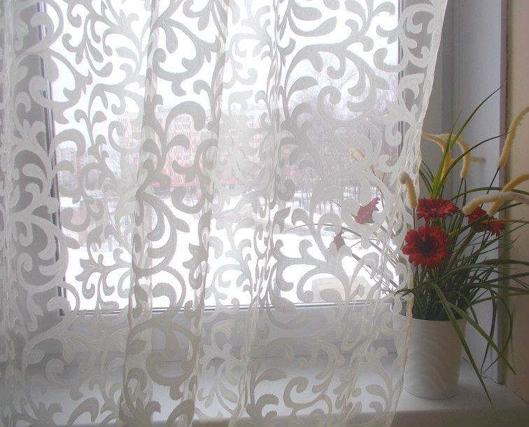 ��������� �����, ��� �� ���� ��������  � ������� ������  ����.