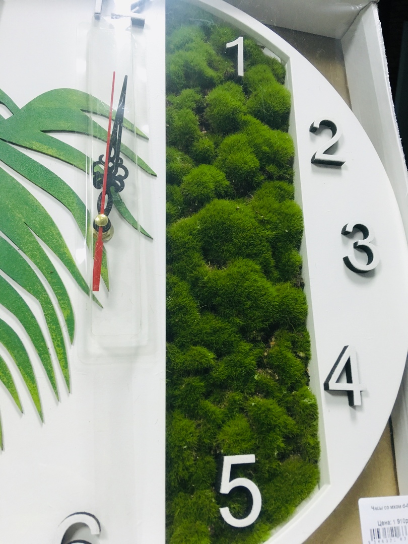 ����� ��������� ������ ����� ������ ����, �� ��� ���� ������ � �����!