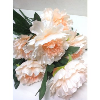 [b]���� �� 31.03. ������������� ����� , ������ �� 8 ��� , ��������� ����� �� 4 ��� . ����� ��������� �������� �� �������������! ������� ����� ������ .[/b]