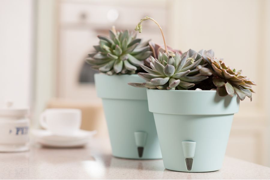  ������ ��� ���� � ����. ������� ������� �� �������������. �������������, ������� �������, ��������, �������� ���������, ���������� ������������, ����� � ���������, ����������� ������ � ���� �� ������� � �� Serinova.