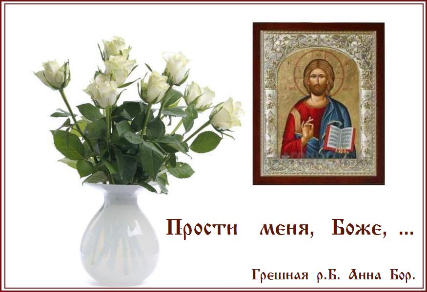 ������  ���,  ���� ...