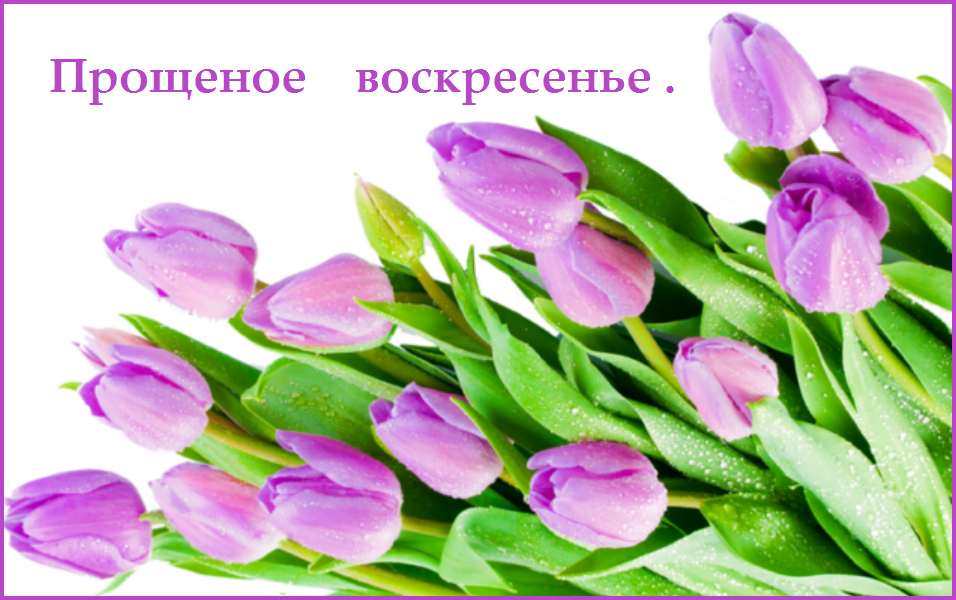  ������� c����� (���������) - ��������. ������ �����������. ������������ ������� ��������.