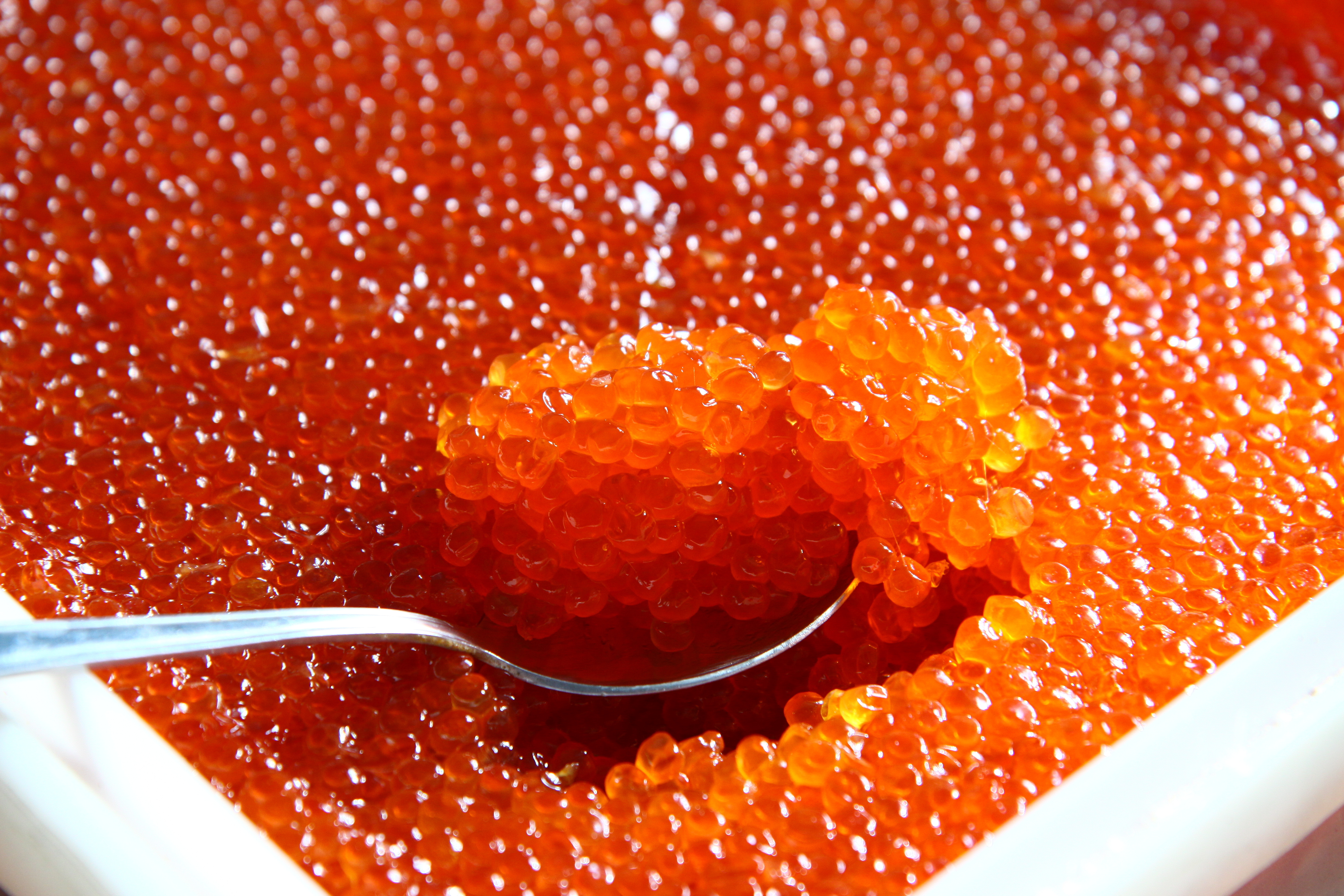 ������� ���� � ������� ��������. �������� ���� ��������� �����, ����������� � ������ ��������, ��������� ����� �� 125 �� � ������.