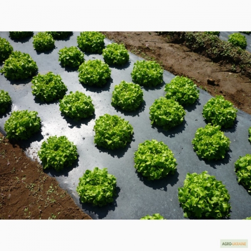 ������ ��� ���� � ����. ������� ������� �� �������������. �������������, ������� �������, ��������, �������� ���������, ���������� ������������, ����� � ���������, ����������� ������ � ���� �� ������� � �� Serinova.