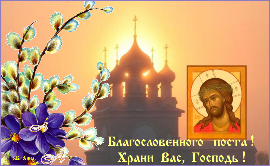 ��� ��� !   �����   �  ������  ������� !