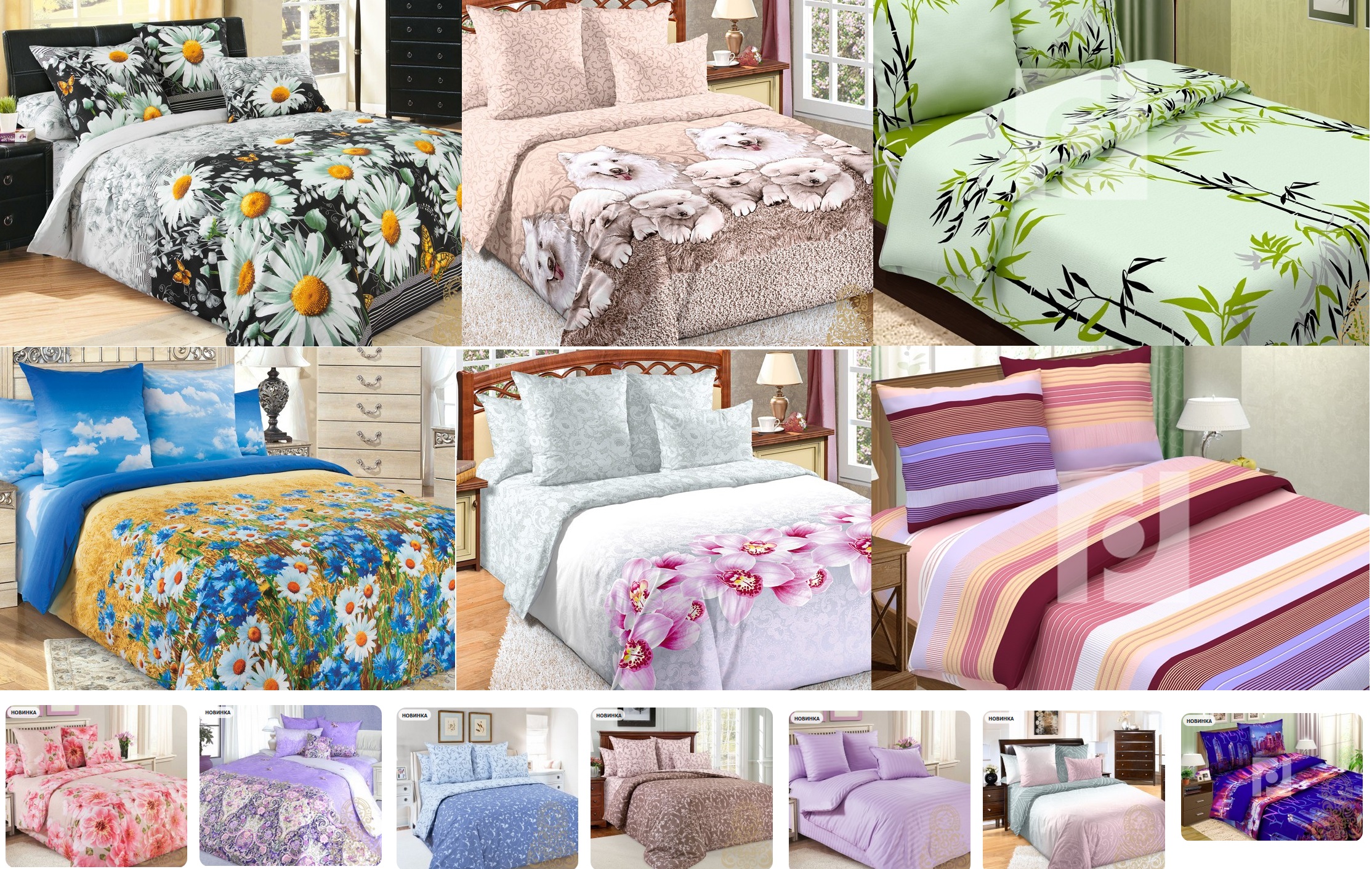 ���������� �����. �����, ����, ������. �������, �����. 