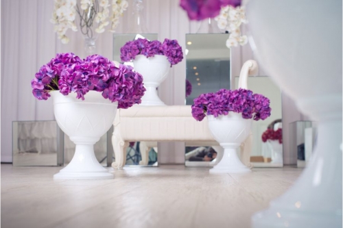 ���� ������� �� 17.03. ������ ��� ���� � ����. �������������, ������� �������, ��������, �������� ���������, ���������� ������������, �������� �������� �� ��������, ����������� ������ � ���� �� ������� � �� Serinova. ������� ������� �� �������������