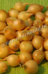 ��� � �������. ---- �������� ���-�����, �������, ���������� ��������� ����� ����� 2019 ---- � ��������� ������.