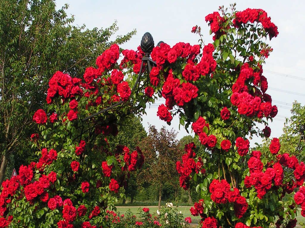 ���� �������. ����. ����� 1