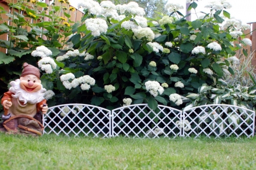 ���� ������� �� 17.03. ������ ��� ���� � ����. �������������, ������� �������, ��������, �������� ���������, ���������� ������������, �������� �������� �� ��������, ����������� ������ � ���� �� ������� � �� Serinova.