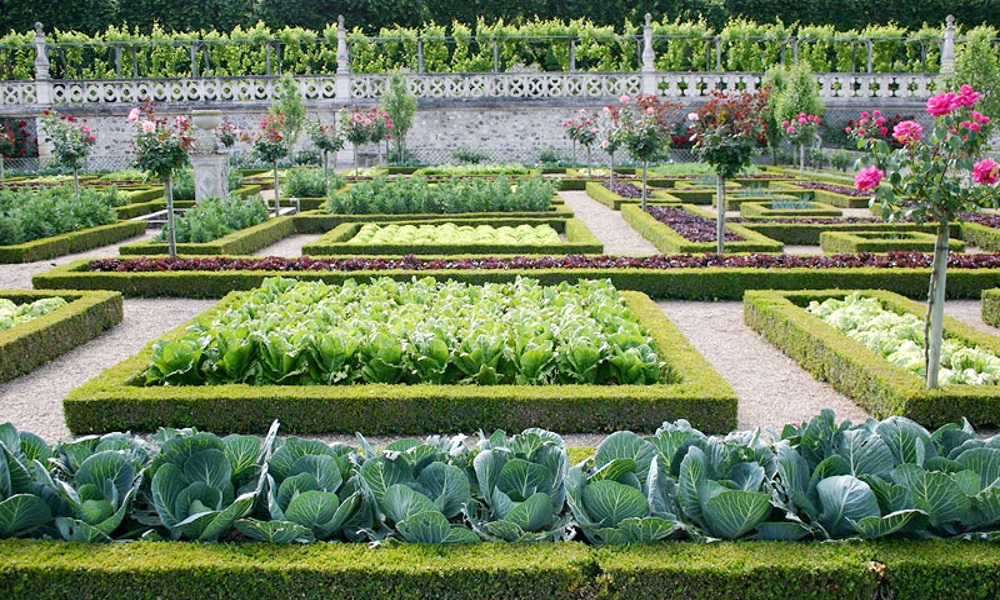 ��������� � �����-���������� ������. ������ � ���.���������. � ��� �� �������� �� ��������