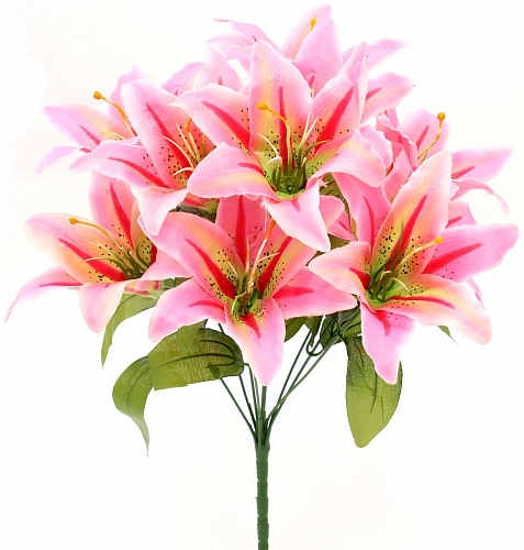 ���� �������. ������������� ����� � �������� . ��������� � ����� �������! ����� � ����, ������, �����,�������� � �����, �������,���������, ����������, ���������. ��������� ��������� . ������. ���� �� 5 �.����� 3