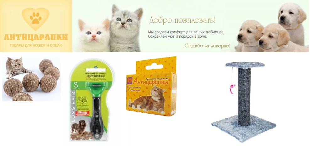 ���� �� 31.03. ���������� - �������. �����������. �����������. ���������. ������, ����� � ������ �������, ������� ��� ����� � �����. ������ ����!