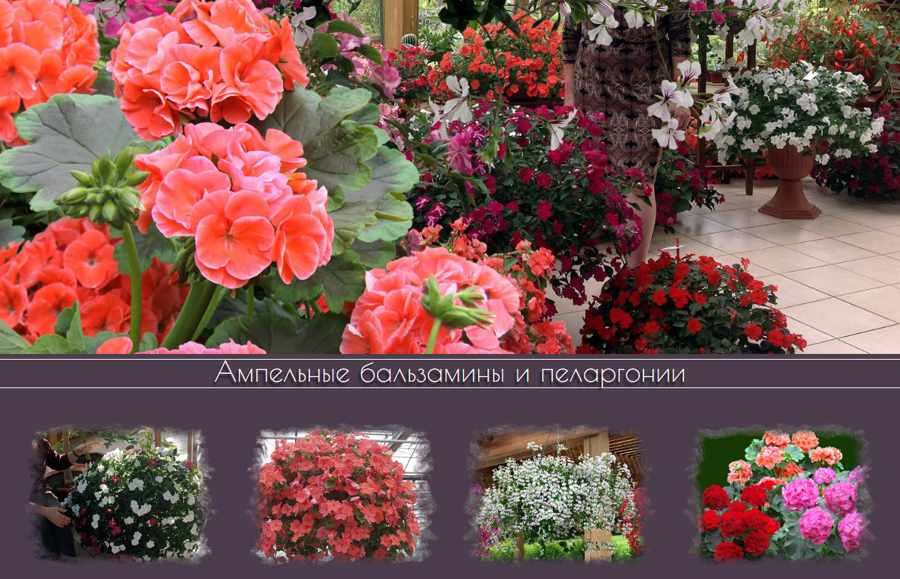 ��������� ���������� � ���������� - �������� ������� ��� ������ ����!