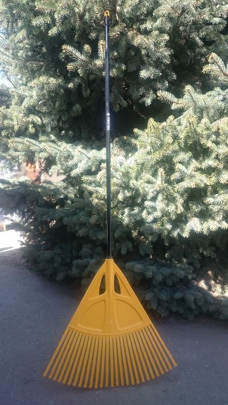 ���� �������. ������ � ������������� ������ ��� ����.������������ � ��������������� ������. ������� ����������� ����� � ����.����� ��� �������� � ��������. �� ������������� Protex.