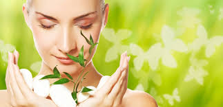 ���� ������� �� 31.03. ���� �������-������������� ���� ����� ��� ��������� ��������� ����, ��� � ��������-33