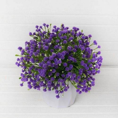 ����� ������� ��������� ���������, ����� �������, ��������� ����������, �������� 7 ����!