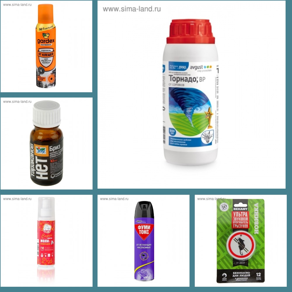 C��� �� 28.03.����-����-�������� ������ ��� ���� � �������: �������� �� ��������; �� ����������; �� �������� ��������;��� � �������;�� ����;������ � ���������;����������� ������������.