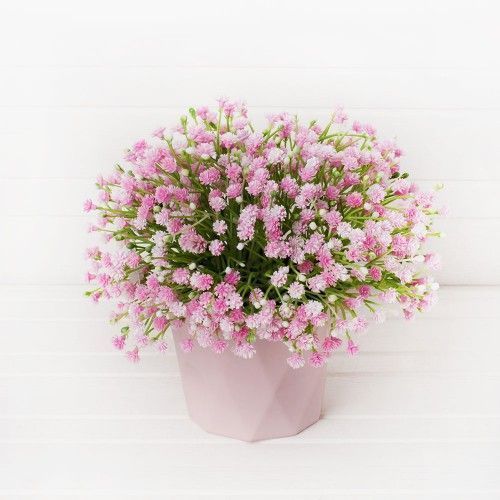 ��� ��������� ���������� ������ ��������� ���������� ������ ���������!