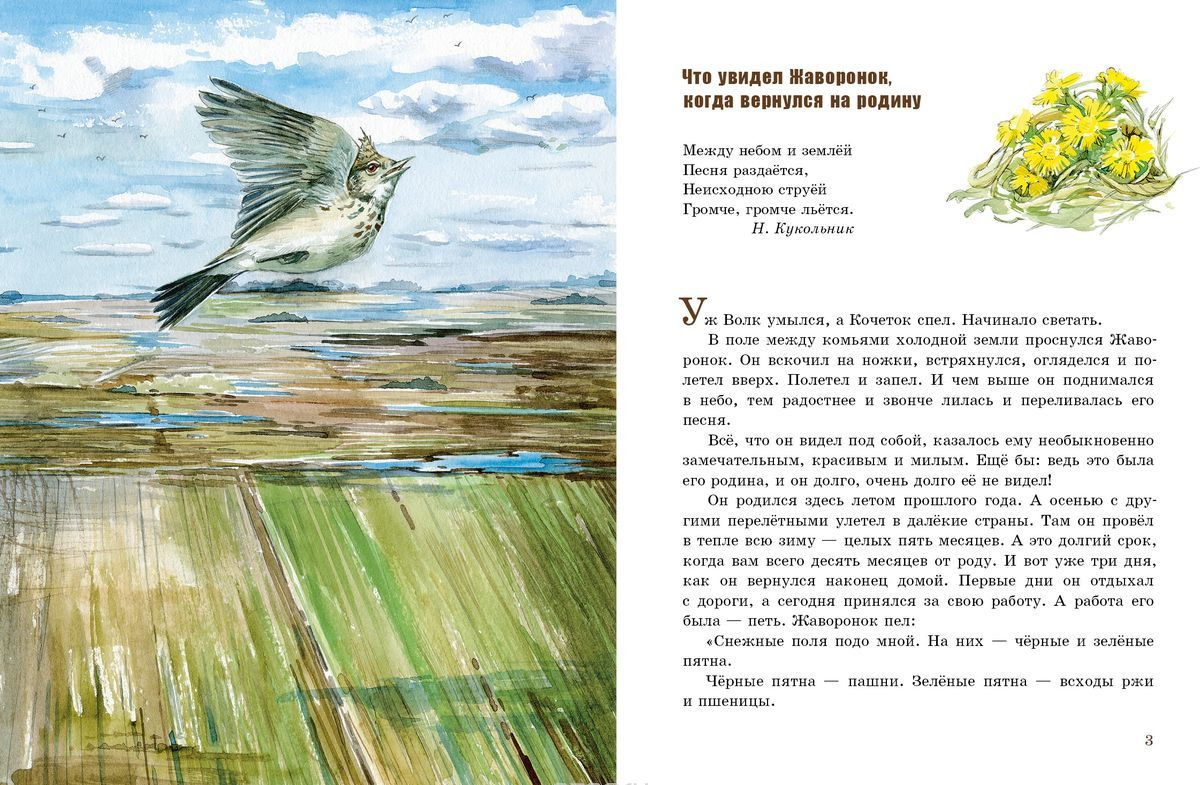 ��������, ������ ����� ������������ "������", ����� �� ������ �������!