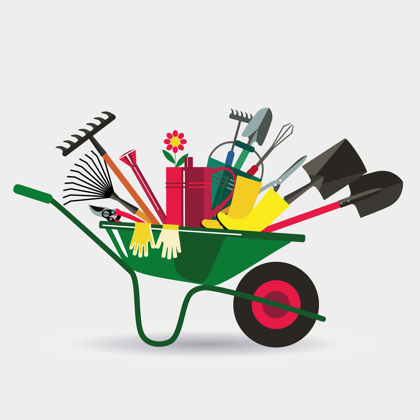 ������ ��� ���� � �������.