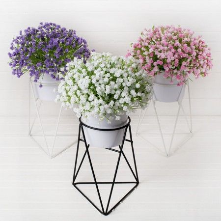 ������ ����!