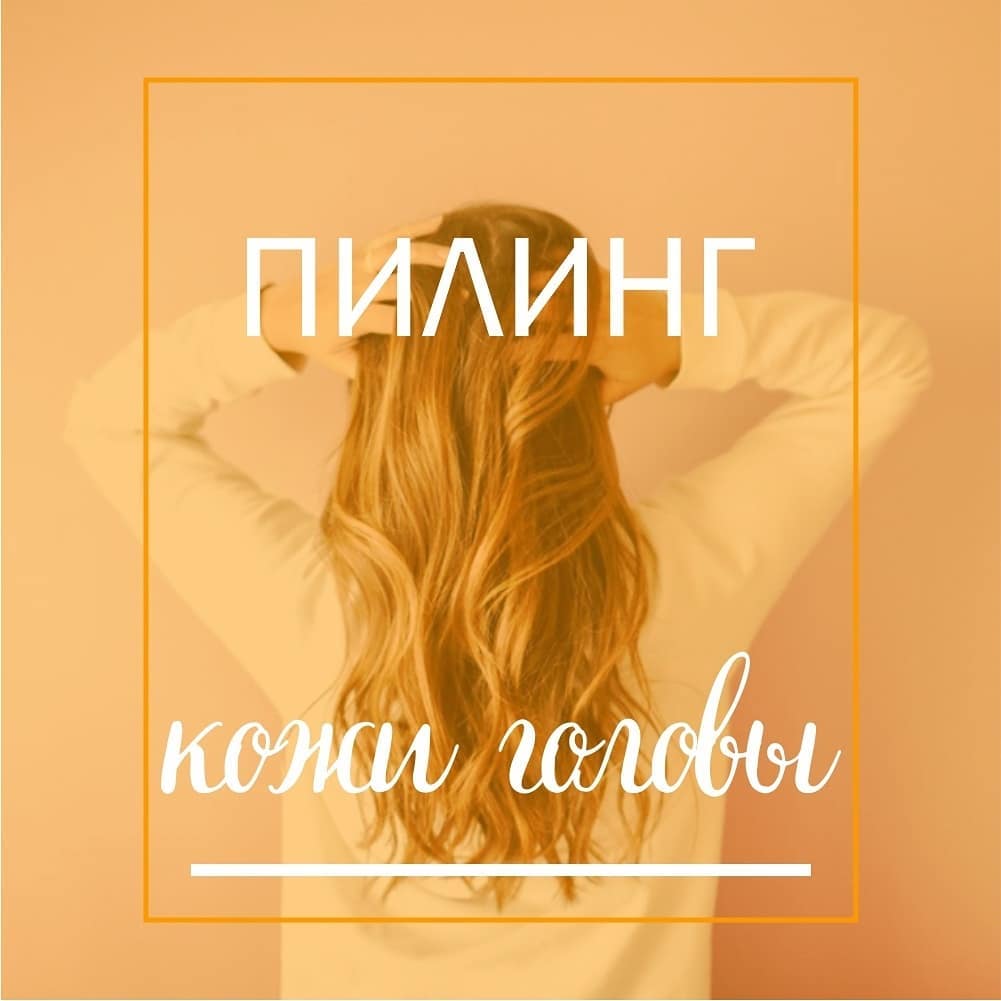 ������ ���� ������