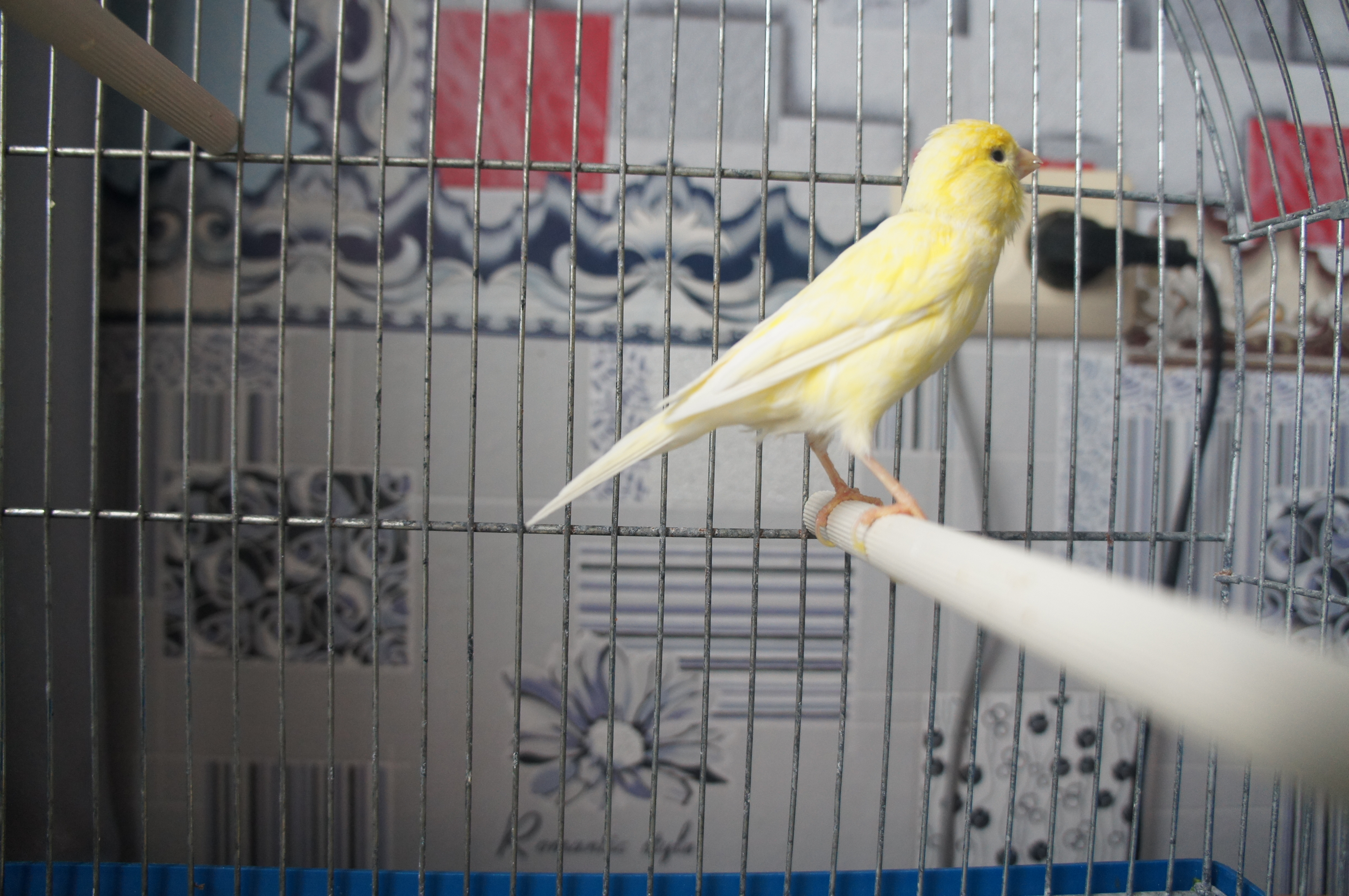 ��������� ��������� (�����)