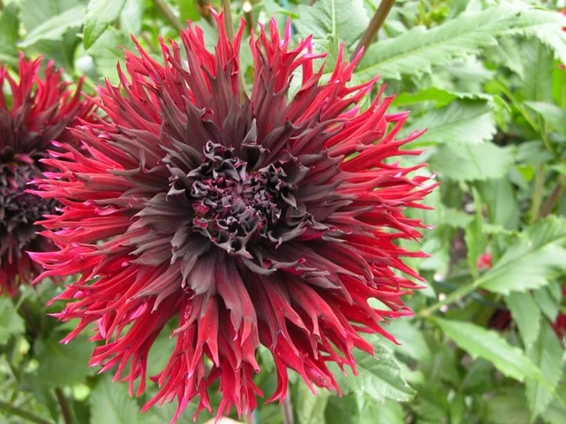 [b]���� �������.�������� ����������.����� �������� �������, ����������, �����, �����, �����, ��������� � ������ ����������� �����!!!!����� 2.[/b]