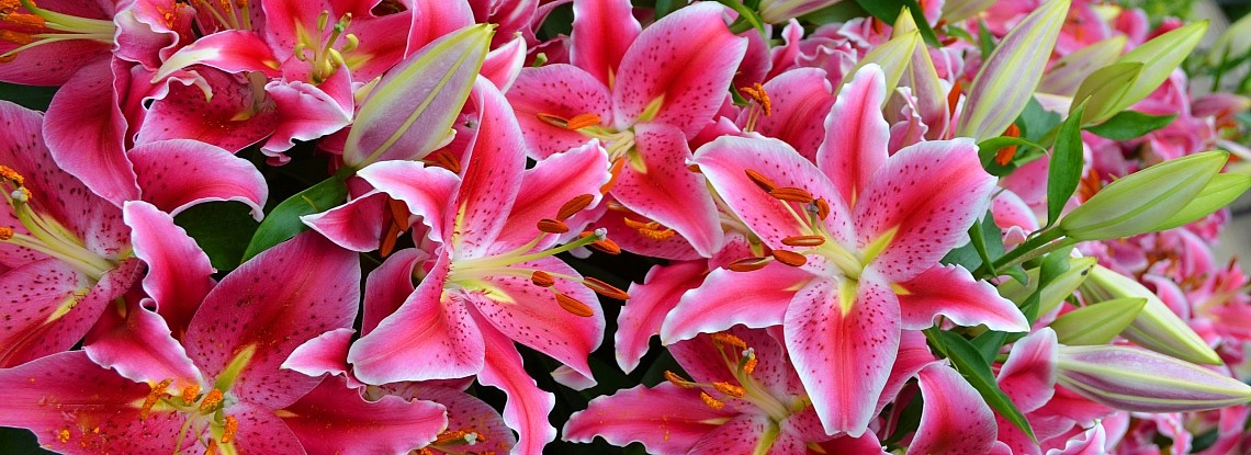 ���� �������. ���������� �����: ����� � ���������� �� ������ �����.����� 2.