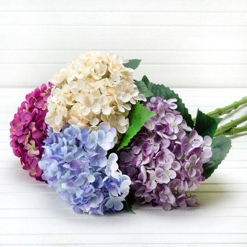 �ӣ � �������! �������� �������! ������������ ������� �� ����� ������. ������ ��� ������ � ���������� ���������, ����������� ������������� �����, �������� � �������! 