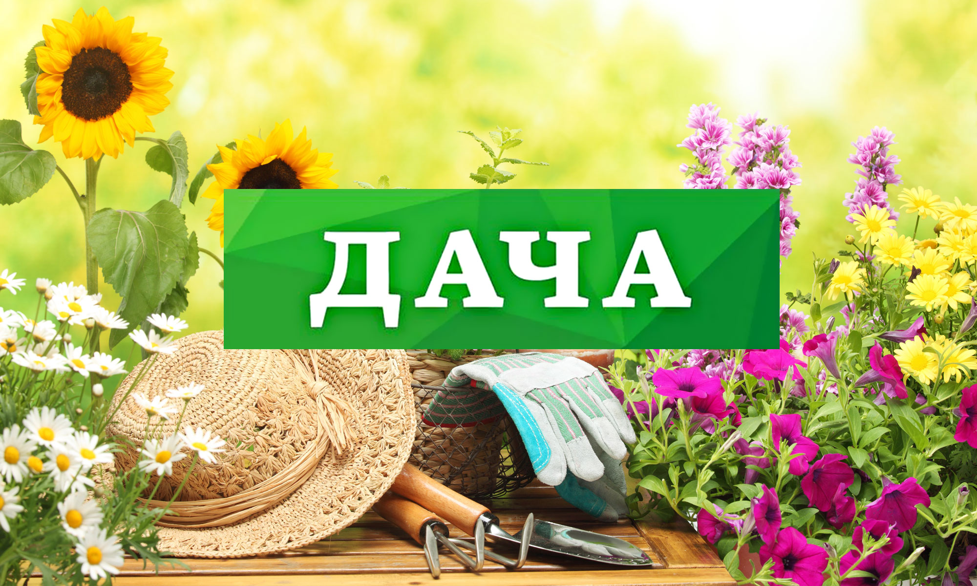 * � � � �. �������� � ������� ����� �� 99 ���!!! ������������� ����� �� �����, ����! ��������, ��������, ����� �� ������� � ������! �������������� ������������! ������� ��� ����� ������! ������� ��������, ������ � �� ��. 