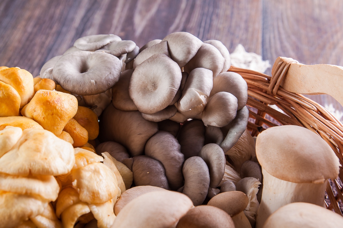 ���� �� 21.04. �������. �������� ��������. ����� � ������-������� ��� ����������� �����������, �������, ����. ��������� ����� � ��� ����! ����� 2.