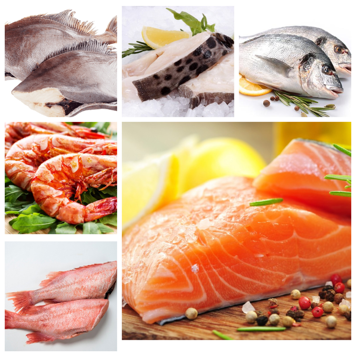 ���� �� 21.04. ������� ����������� ������������ � ����� ������� ���� � �������������  37! � ����������� � ����� � ������� ������. �������������� ����, ������� ����,��������, ����������, ������, ����, ����, ������. ��������� ���� � ����� ����