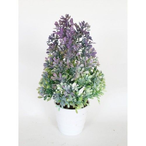 ����������!!! ������-����� � �����.����� ������ 30 ��, ����  220 �!!!!!! 