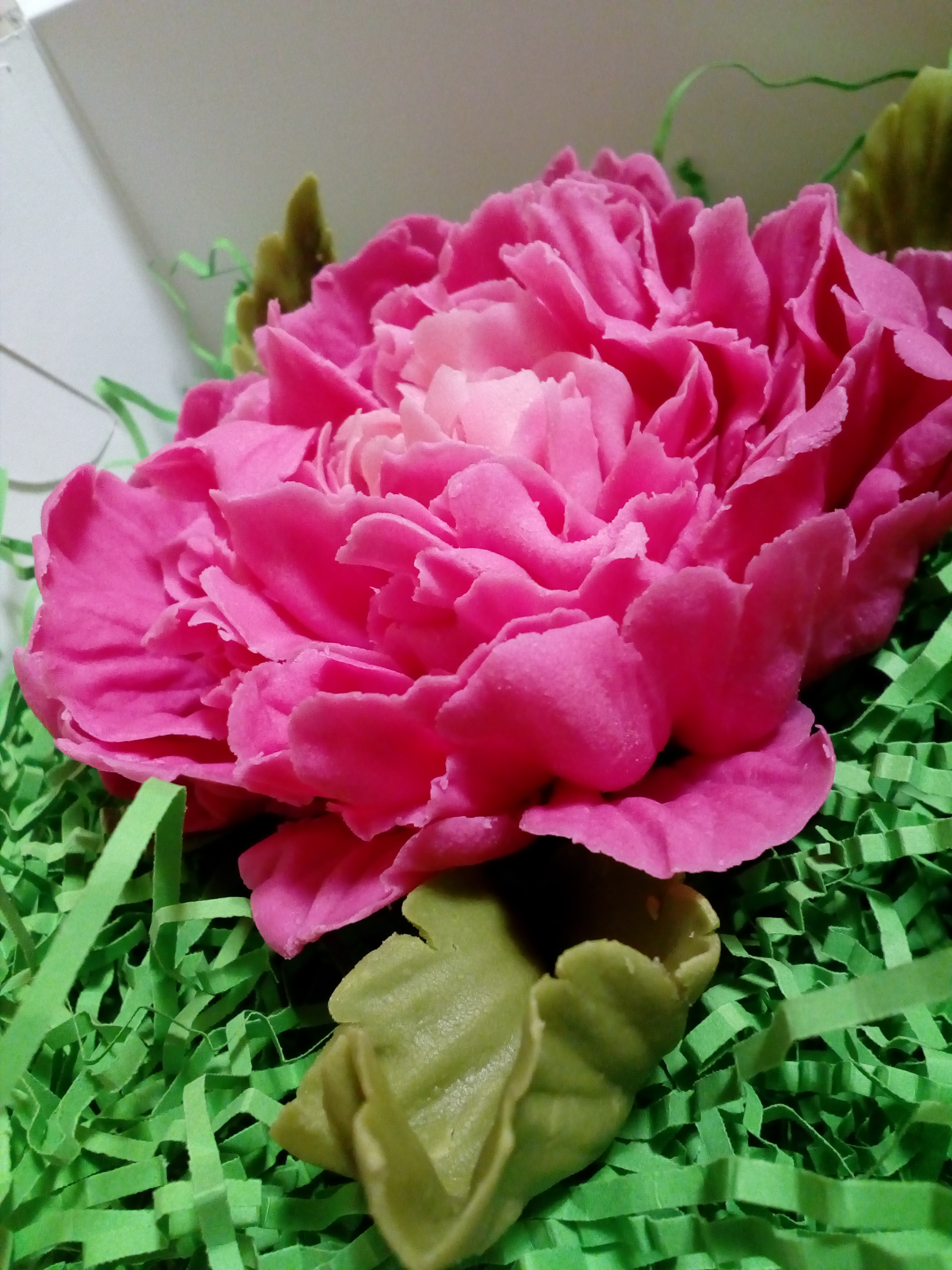 ����� �� ���������� ������