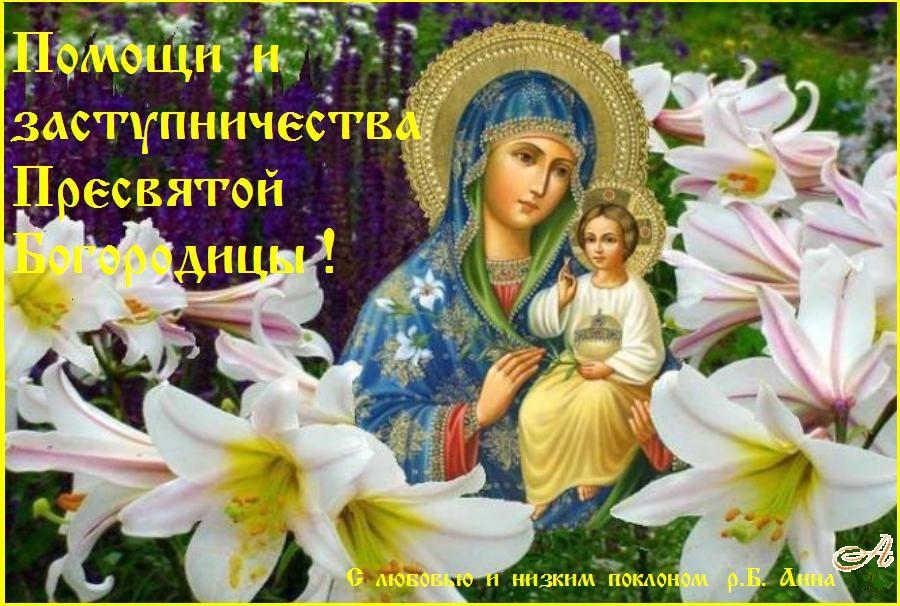 �������, ���� �����, ����� �����������.