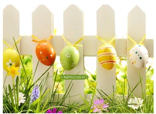 �� �������� � �����������  �������� ��������� �����!