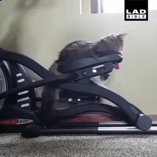 ������ �� ������, ����� ����� ���� �������� �� ����� ����