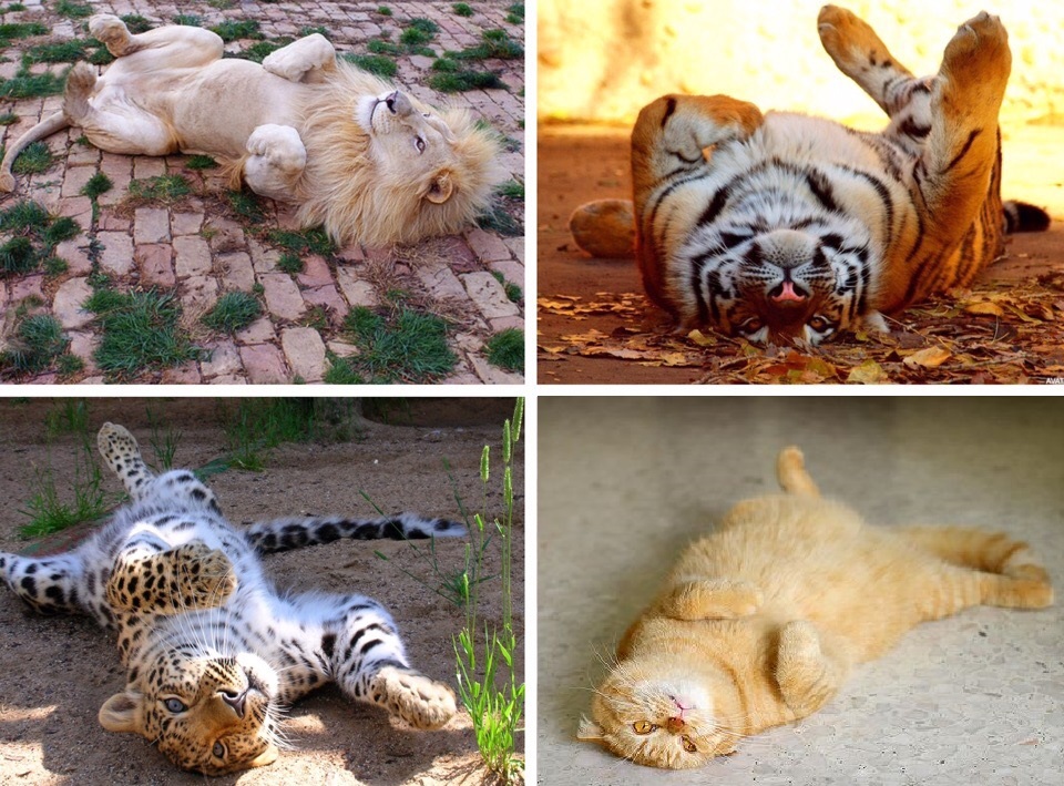 ������. ��� ����� ��� ������