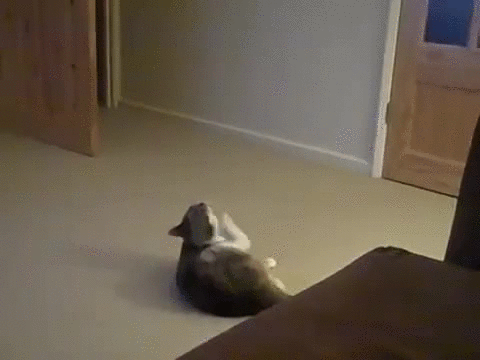 � �� �������� �� ��� �� ���� ���� � ������������ ����������� ��� �����-���� ������� �� �� �������? ��!!!