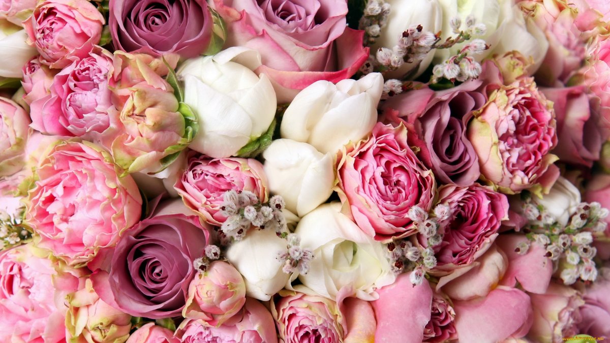 ������� �� ��!!!!!!      �������������� ����! 