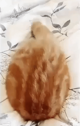 �������� ������� �����