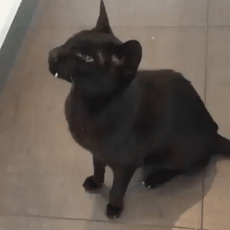 ���������� ����